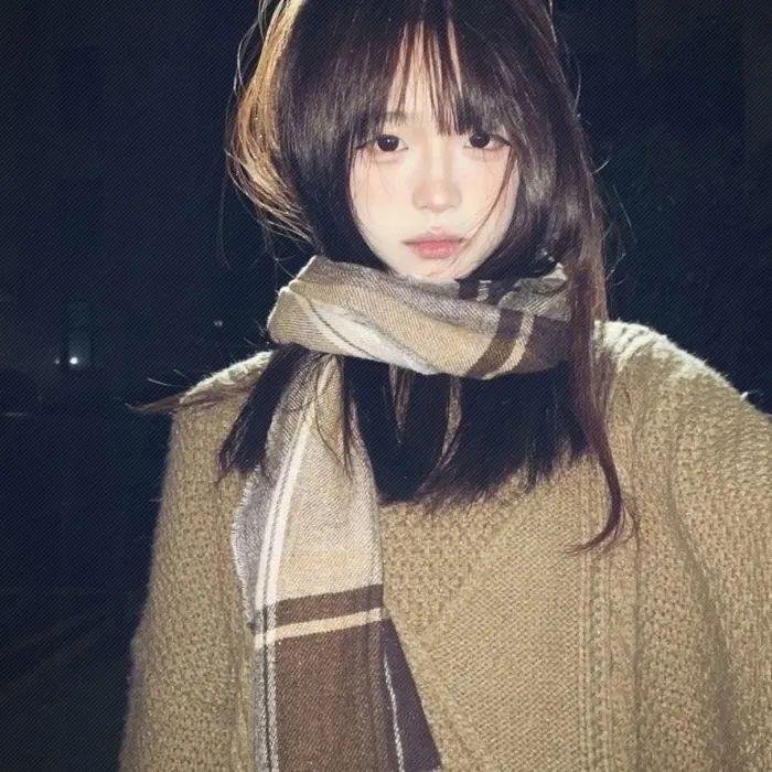 雪地灵犬3